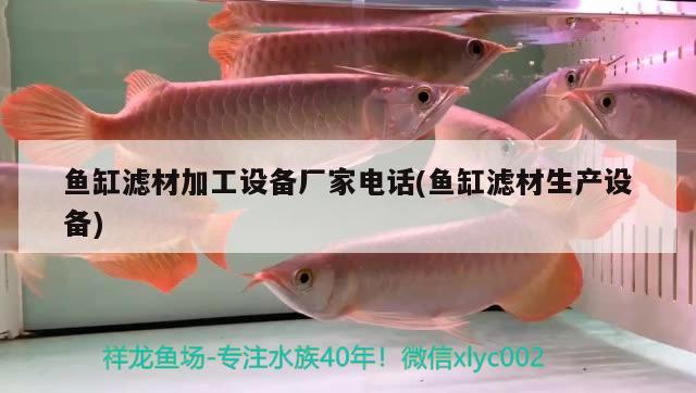 超白魚缸品牌十大排名圖片(國(guó)內(nèi)最好的超白缸品牌)