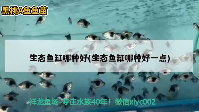 水桶diy魚缸過濾器系統(tǒng)：自制小型魚缸過濾桶