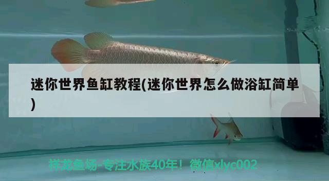 迷你世界魚缸教程(迷你世界怎么做浴缸簡單) 銀龍魚