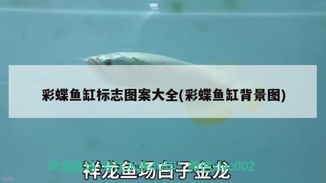 斑馬貝混養(yǎng)什么魚好吃：斑馬貝壽命多長