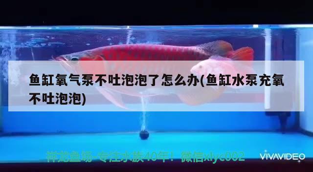 魚缸氧氣泵不吐泡泡了怎么辦(魚缸水泵充氧不吐泡泡) 魚缸水泵