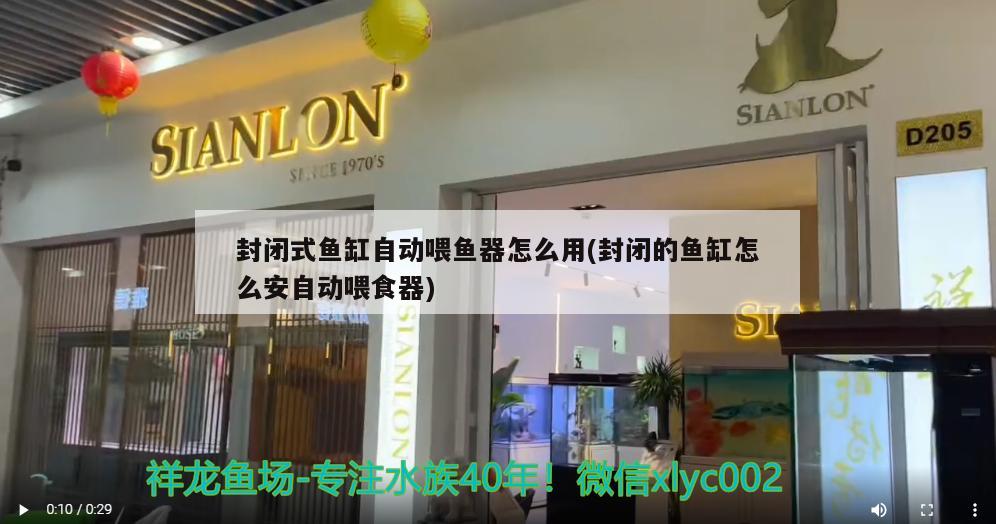 封閉式魚缸自動喂魚器怎么用(封閉的魚缸怎么安自動喂食器) 喂食器