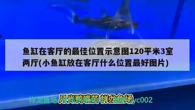 魚缸在客廳的最佳位置示意圖120平米3室兩廳(小魚缸放在客廳什么位置最好圖片)