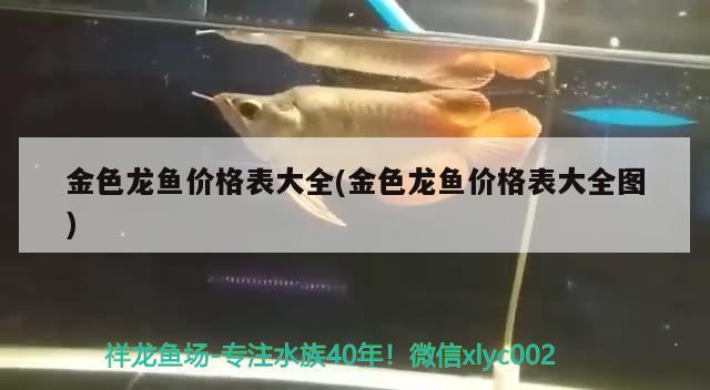 馬騮羅漢魚和泰金羅漢魚的區(qū)別在哪：泰金羅漢和馬騮羅漢怎么區(qū)別 羅漢魚 第3張