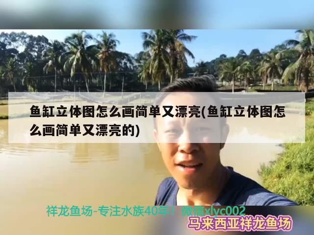 魚缸立體圖怎么畫簡單又漂亮(魚缸立體圖怎么畫簡單又漂亮的) 祥龍超血紅龍魚