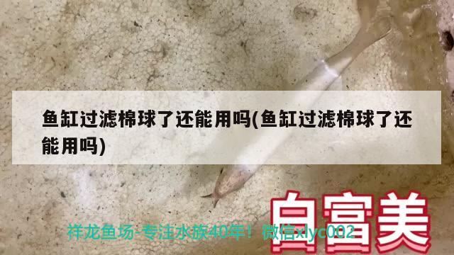 魚缸過濾棉球了還能用嗎(魚缸過濾棉球了還能用嗎)