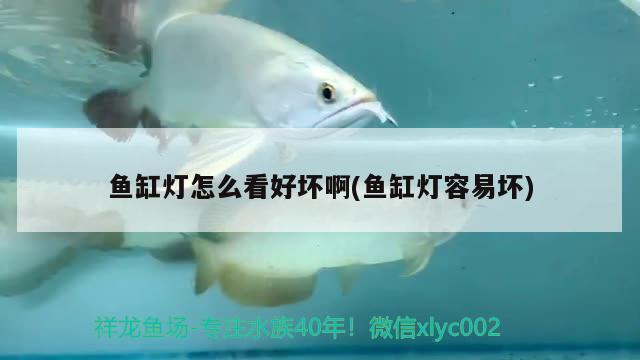 魚缸燈怎么看好壞啊(魚缸燈容易壞)