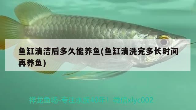 魚缸清潔后多久能養(yǎng)魚(魚缸清洗完多長(zhǎng)時(shí)間再養(yǎng)魚)