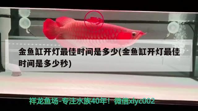 金魚缸開燈最佳時間是多少(金魚缸開燈最佳時間是多少秒) 水族用品