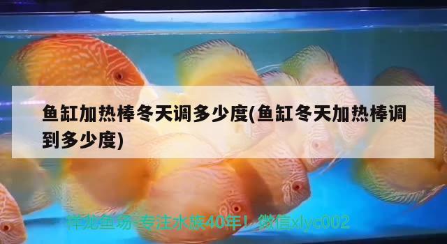 魚竿調性什么意思選擇什么調性的好 生態(tài)瓶/創(chuàng)意缸/桌面微景缸 第2張