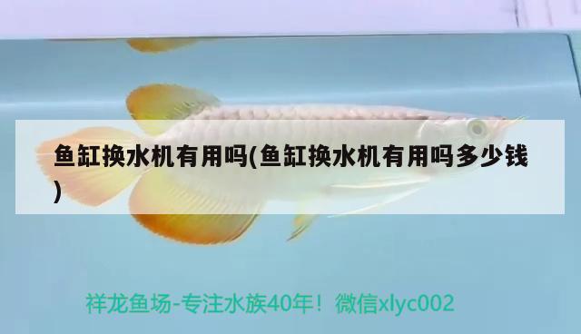 魚缸換水機有用嗎(魚缸換水機有用嗎多少錢) 水族維護服務（上門）