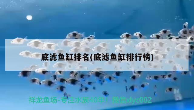 底濾魚缸排名(底濾魚缸排行榜) 水族用品 第2張