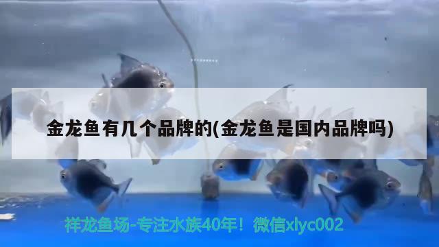 臨滄市臨翔區(qū)暮漁寵物店 全國水族館企業(yè)名錄 第4張