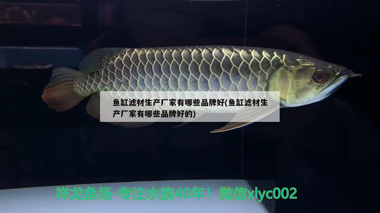 黃石水族館懶人式養(yǎng)法