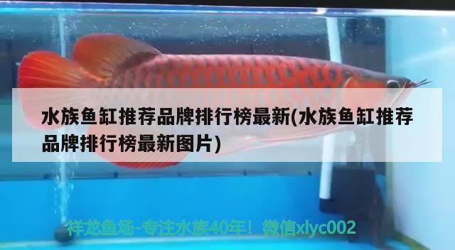 水族魚缸推薦品牌排行榜最新(水族魚缸推薦品牌排行榜最新圖片) 肥料