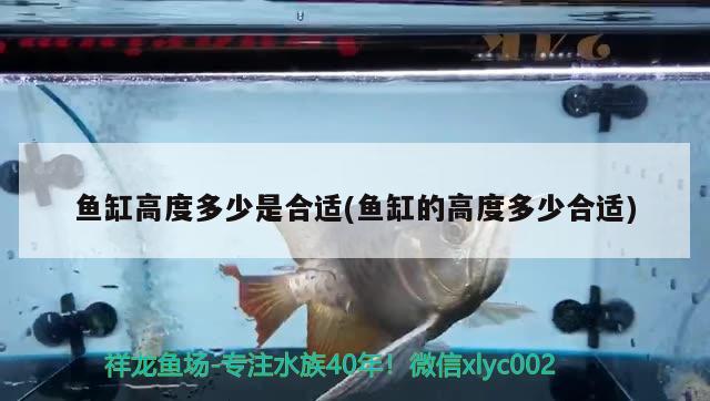 上海市松江區(qū)中山街道花噯花店 全國水族館企業(yè)名錄 第1張