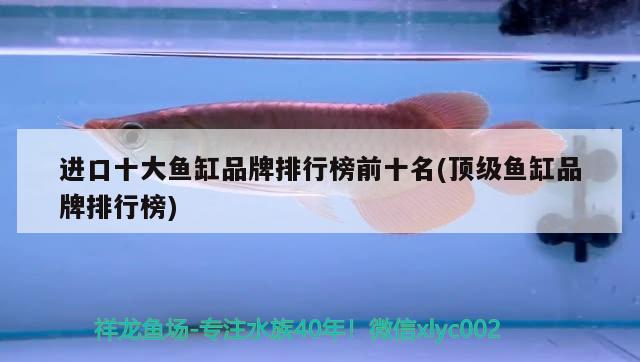 進(jìn)口十大魚(yú)缸品牌排行榜前十名(頂級(jí)魚(yú)缸品牌排行榜) 祥禾Super Red紅龍魚(yú)