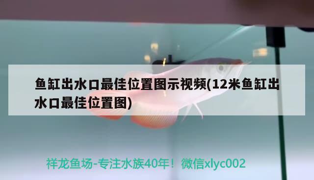 魚缸出水口最佳位置圖示視頻(12米魚缸出水口最佳位置圖)