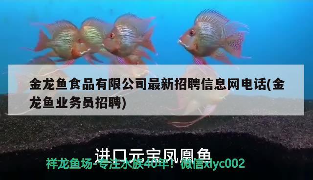 金龍魚食品有限公司最新招聘信息網(wǎng)電話(金龍魚業(yè)務員招聘)