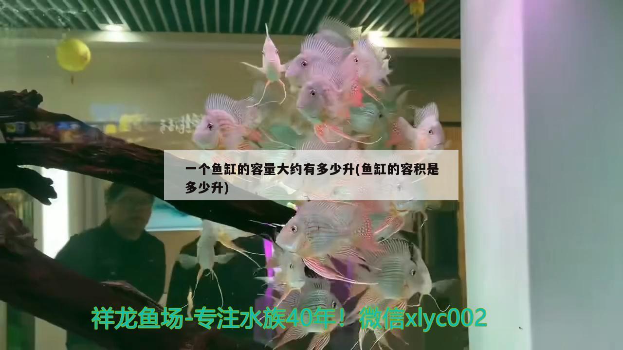 一個魚缸的容量大約有多少升(魚缸的容積是多少升) 潛水艇魚