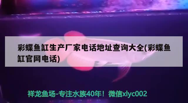 彩蝶魚缸生產(chǎn)廠家電話地址查詢大全(彩蝶魚缸官網(wǎng)電話) 玫瑰銀版魚