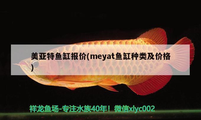 美亞特魚缸報(bào)價(jià)(meyat魚缸種類及價(jià)格) 定時(shí)器/自控系統(tǒng)