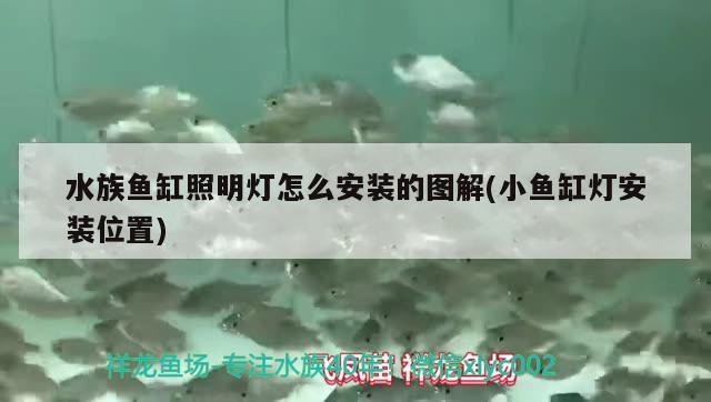 水族魚缸照明燈怎么安裝的圖解(小魚缸燈安裝位置)