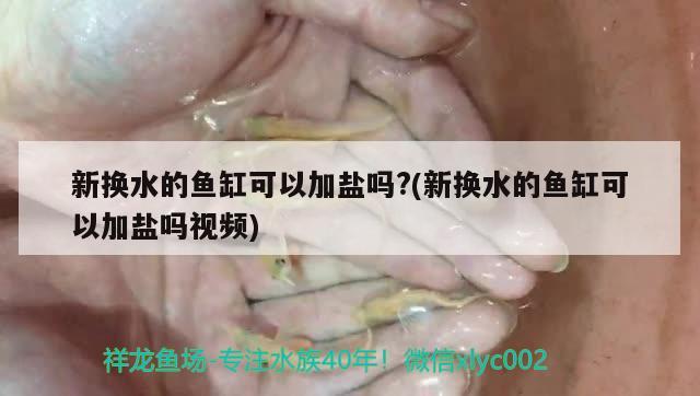 長治魚缸批發(fā)市場在哪里有賣魚的地方啊：長治魚缸批發(fā)市場在哪里有賣魚的地方啊多少錢 養(yǎng)魚的好處 第2張