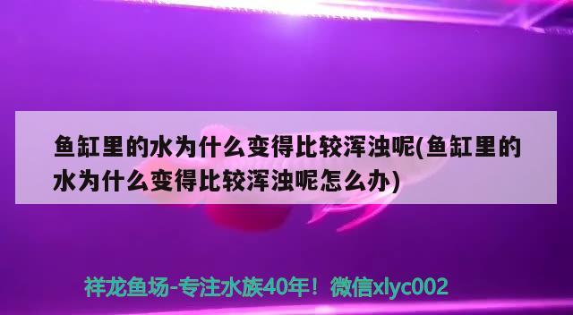 魚缸好好的就突然漏水意味著什么(魚缸漏水是不是要發(fā)生什么事) 水族品牌