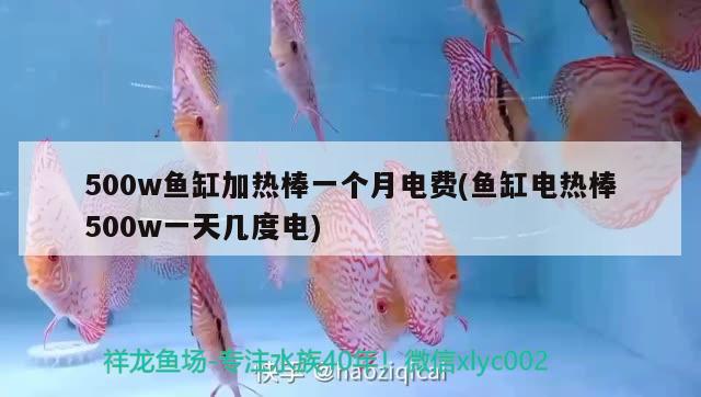 500w魚缸加熱棒一個月電費(魚缸電熱棒500w一天幾度電) 黑桃A魚