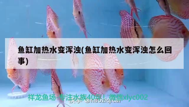 魚缸加熱水變渾濁(魚缸加熱水變渾濁怎么回事) 細線銀板魚苗 第2張