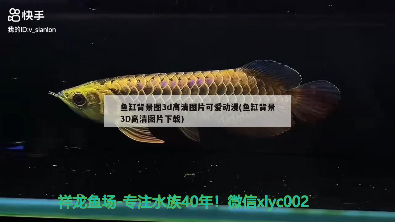 魚缸背景圖3d高清圖片可愛動漫(魚缸背景3D高清圖片下載) 造景/裝飾