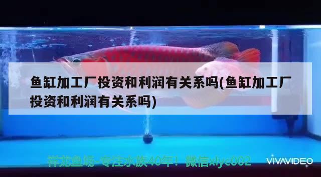 魚缸過濾網過濾棉如何放置(魚缸上濾過濾棉怎么放) 大正錦鯉魚