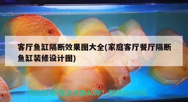 客廳魚缸隔斷效果圖大全(家庭客廳餐廳隔斷魚缸裝修設計圖) 大白鯊魚