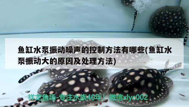 魚缸水泵振動噪聲的控制方法有哪些(魚缸水泵振動大的原因及處理方法)