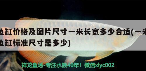 魚缸價(jià)格及圖片尺寸一米長(zhǎng)寬多少合適(一米魚缸標(biāo)準(zhǔn)尺寸是多少) 紅白錦鯉魚