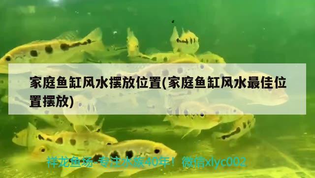 家庭魚缸風(fēng)水?dāng)[放位置(家庭魚缸風(fēng)水最佳位置擺放) 魚缸風(fēng)水