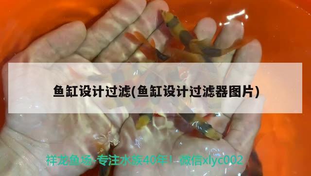 魚缸設(shè)計過濾(魚缸設(shè)計過濾器圖片) 眼斑魚