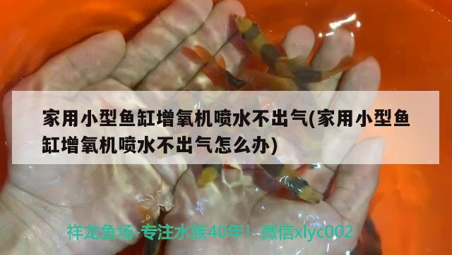 家用小型魚缸增氧機噴水不出氣(家用小型魚缸增氧機噴水不出氣怎么辦) 三間鼠魚苗