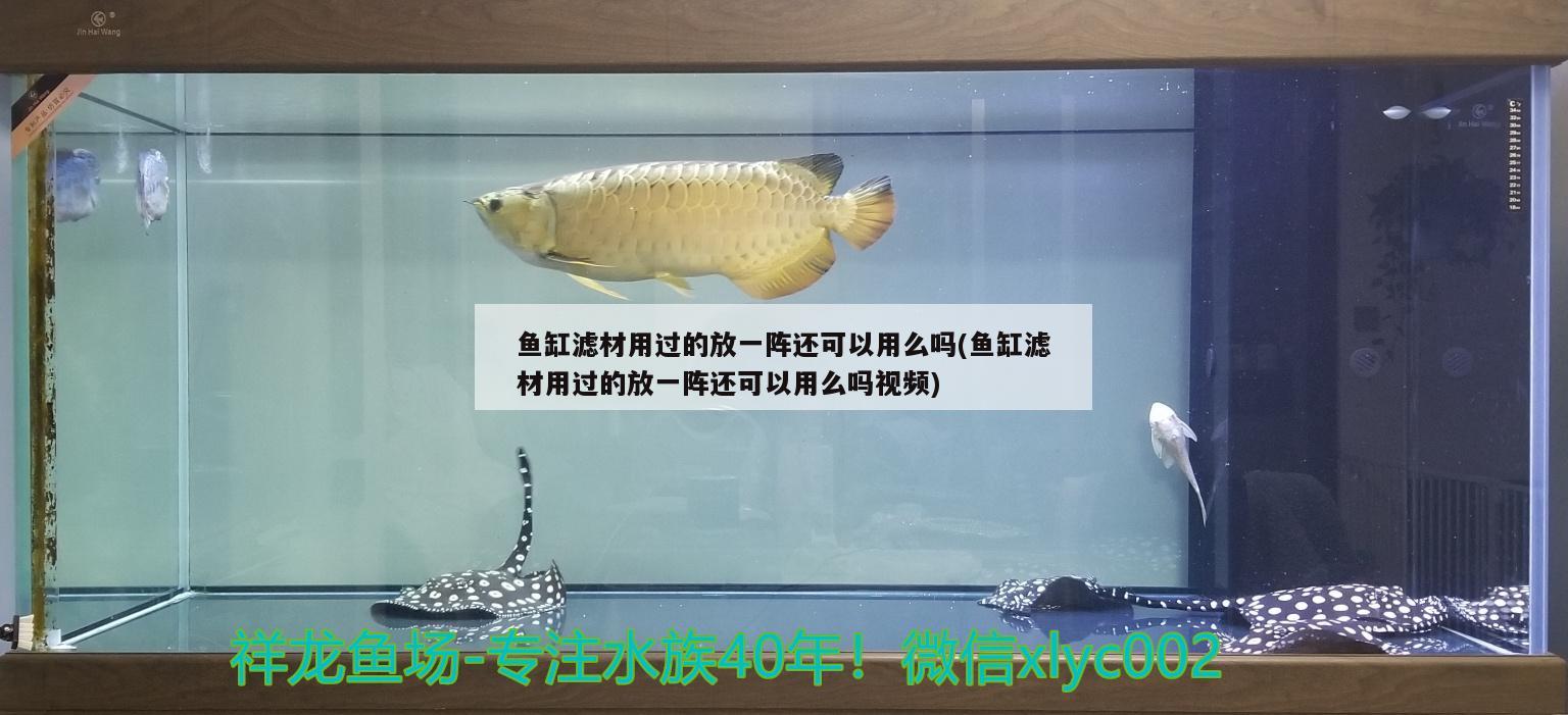 魚缸濾材用過的放一陣還可以用么嗎(魚缸濾材用過的放一陣還可以用么嗎視頻)