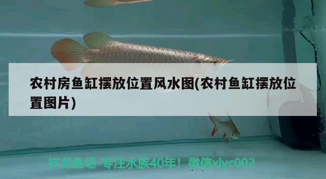 農(nóng)村房魚缸擺放位置風(fēng)水圖(農(nóng)村魚缸擺放位置圖片) 魚缸風(fēng)水