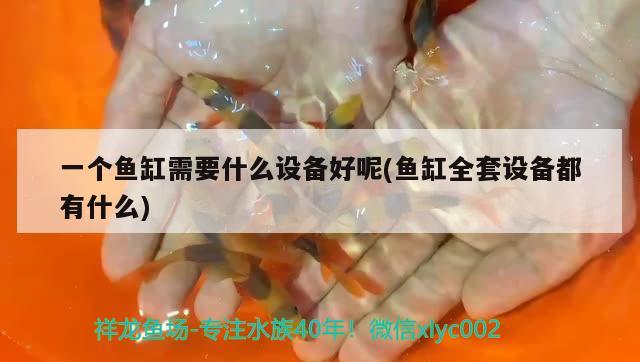 一個魚缸需要什么設(shè)備好呢(魚缸全套設(shè)備都有什么) 祥龍魚場