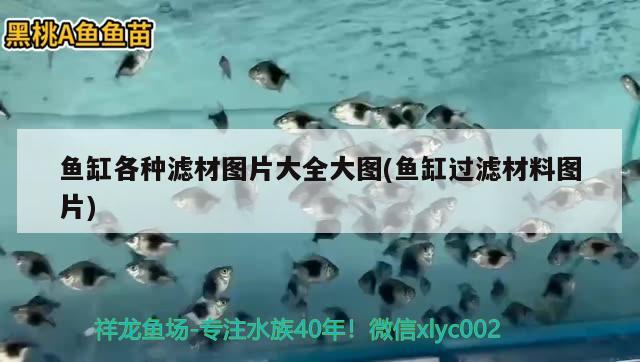 魚缸各種濾材圖片大全大圖(魚缸過濾材料圖片) 魚缸百科