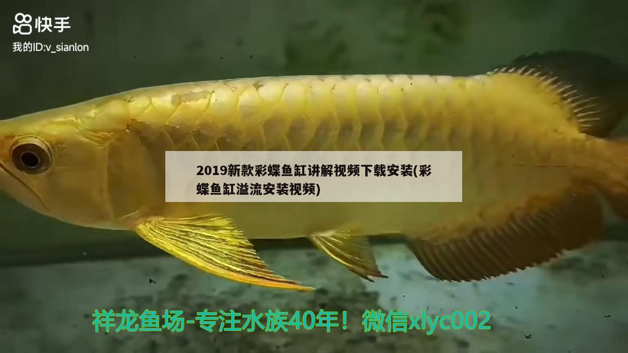 2019新款彩蝶魚缸講解視頻下載安裝(彩蝶魚缸溢流安裝視頻)