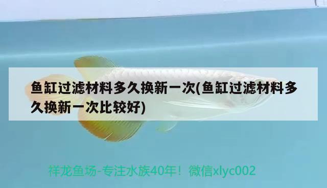 魚缸過濾材料多久換新一次(魚缸過濾材料多久換新一次比較好) 七彩神仙魚