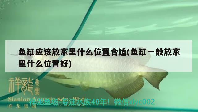 魚(yú)缸全封閉對(duì)魚(yú)有影響嗎視頻教程：全封閉魚(yú)缸需要換水嗎