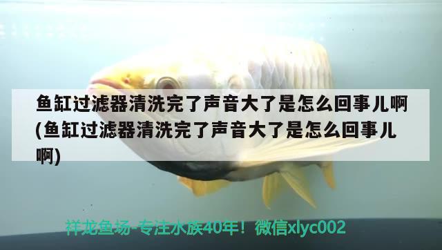 魚缸過濾器清洗完了聲音大了是怎么回事兒啊(魚缸過濾器清洗完了聲音大了是怎么回事兒啊)