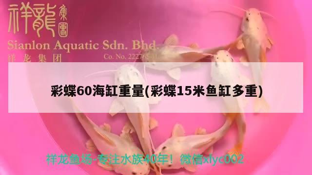 彩蝶60海缸重量(彩蝶15米魚缸多重)