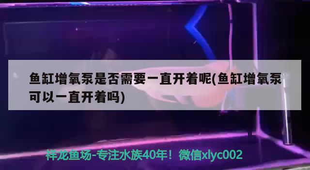 魚缸增氧泵是否需要一直開著呢(魚缸增氧泵可以一直開著嗎) 朱巴利魚苗