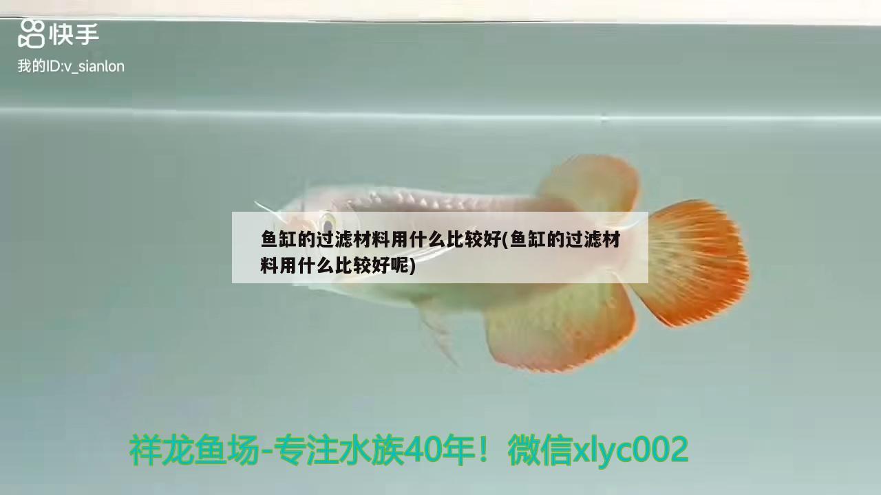 魚缸的過濾材料用什么比較好(魚缸的過濾材料用什么比較好呢) 賽級紅龍魚